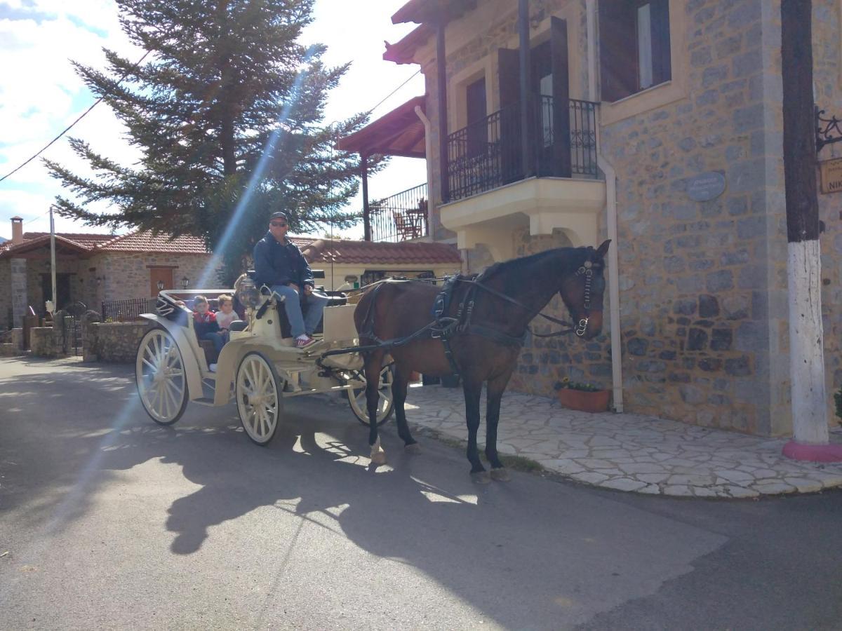 Hotel Archontiko Nikolopoulou à Vitina Extérieur photo