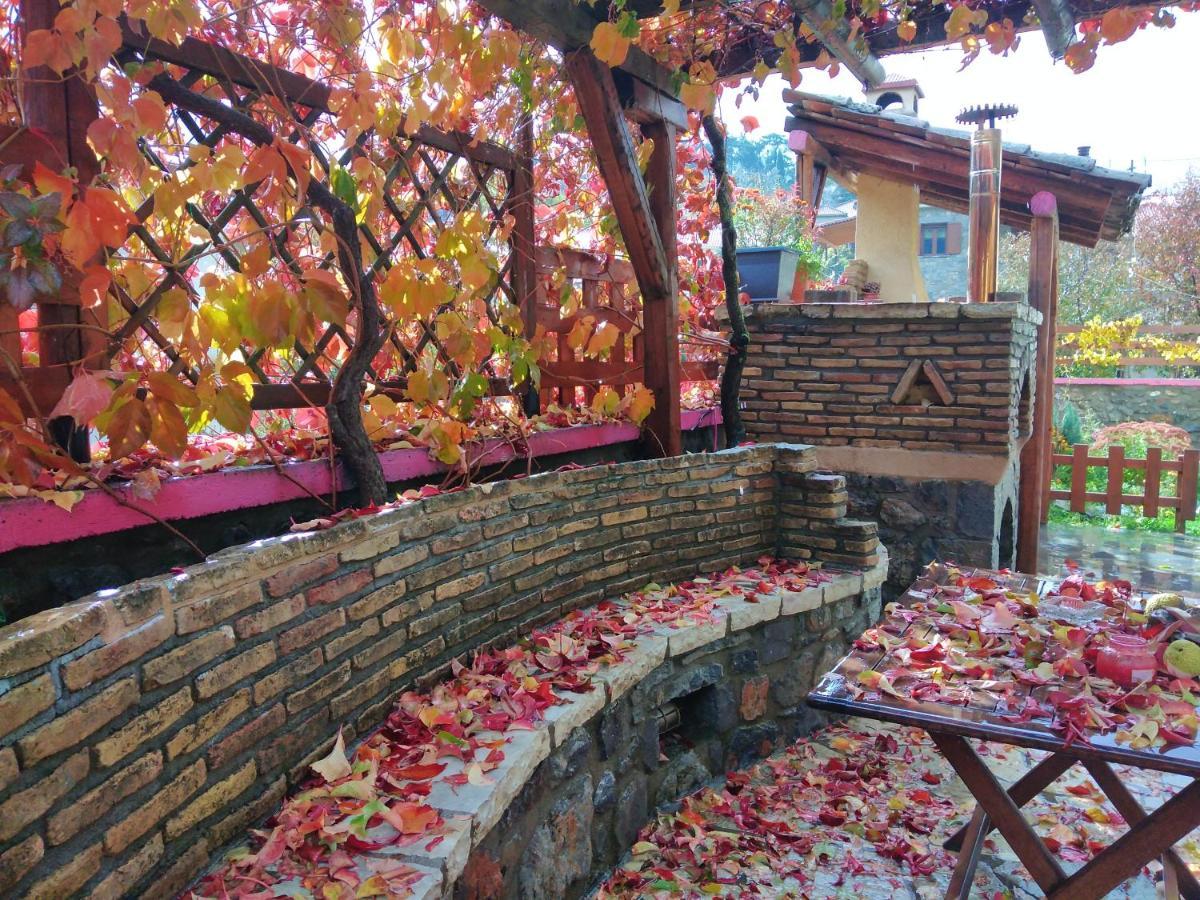 Hotel Archontiko Nikolopoulou à Vitina Extérieur photo