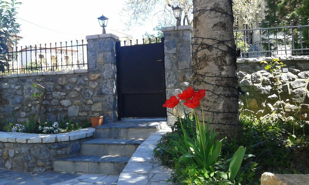 Hotel Archontiko Nikolopoulou à Vitina Extérieur photo