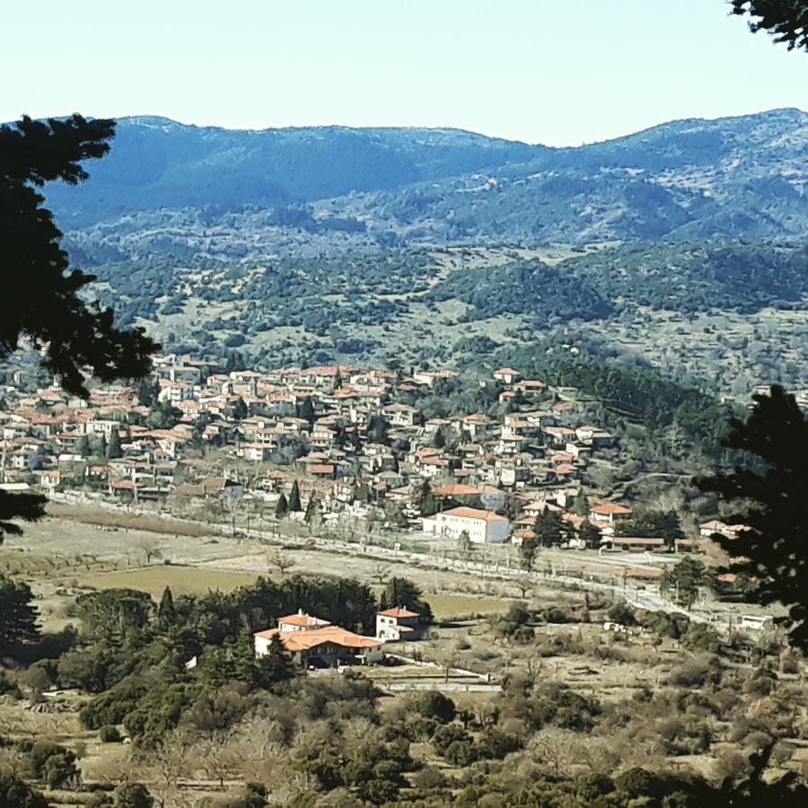 Hotel Archontiko Nikolopoulou à Vitina Extérieur photo
