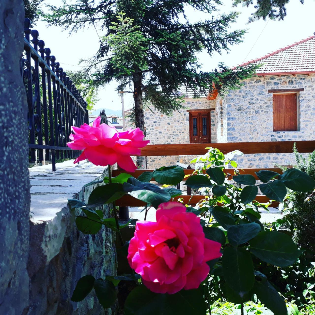 Hotel Archontiko Nikolopoulou à Vitina Extérieur photo