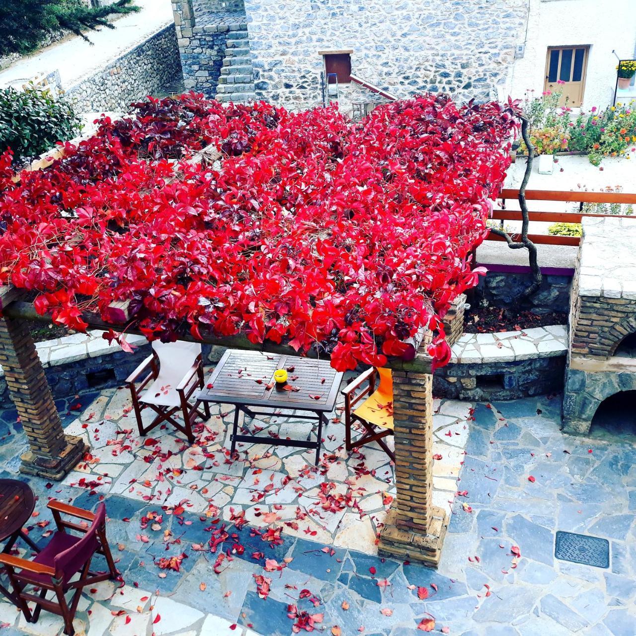 Hotel Archontiko Nikolopoulou à Vitina Extérieur photo